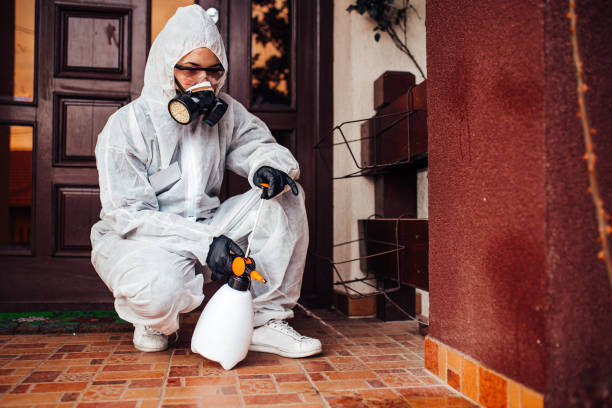 Reliable Termite Control contractor in El Macero, CA by Nex Pest Control