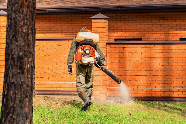 Top rated local Termite Control specialists in El Macero, CA